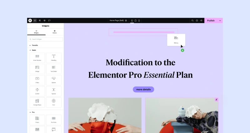 Elementor Interface